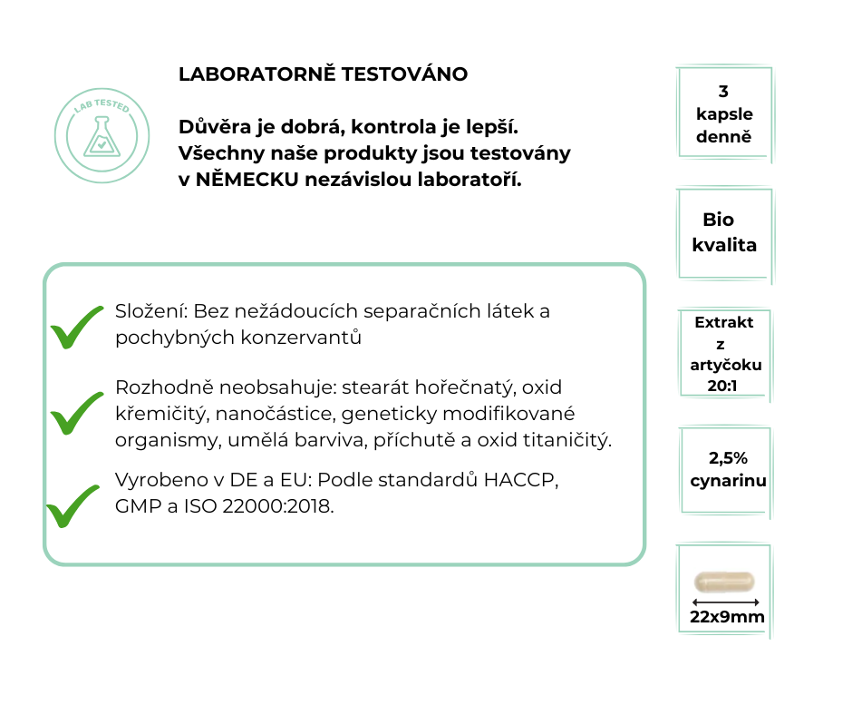 Vit4ever Artyčok BIO extrakt 600 mg, 240 kapslí