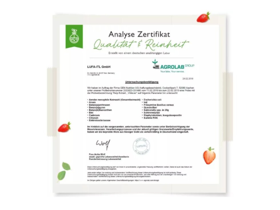 Vit4ever přírodní Jód, organický extrakt z řasy 200 μg, 365 tablet