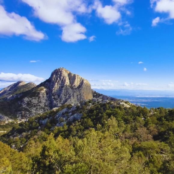 Bee&You dětský sirup s propolisem a raw medem - 150 ml