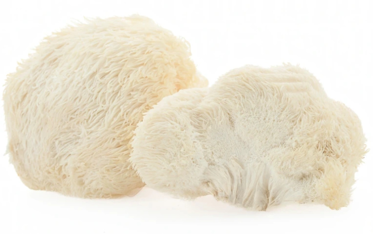 Vit4ever Hericium Intenso, Lions Mane 1300 mg, 180 kapslí