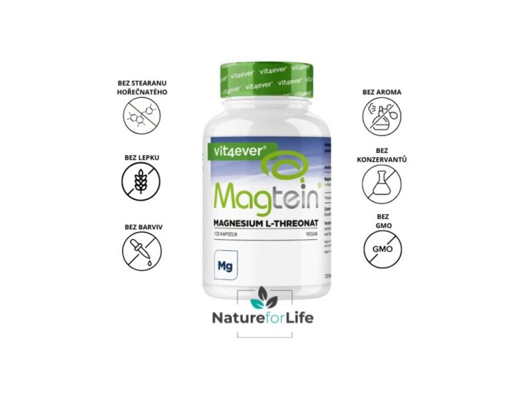 Vit4ever Magnesium L-Threonat, Magtein, Hořčík 120 kapslí