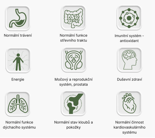 BrainMax DGL Complex (Deglycyrrhizinovaná lékořice), 100 rostlinných kapslí