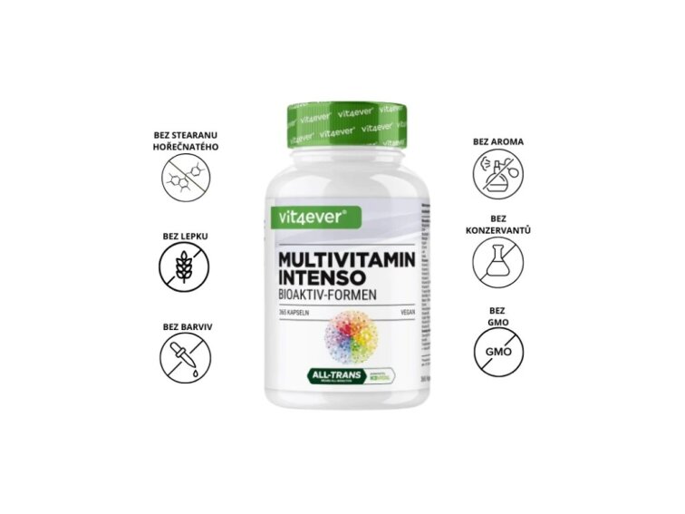 Vit4ever Premium Multivitamin Intenso - 365 kapslí