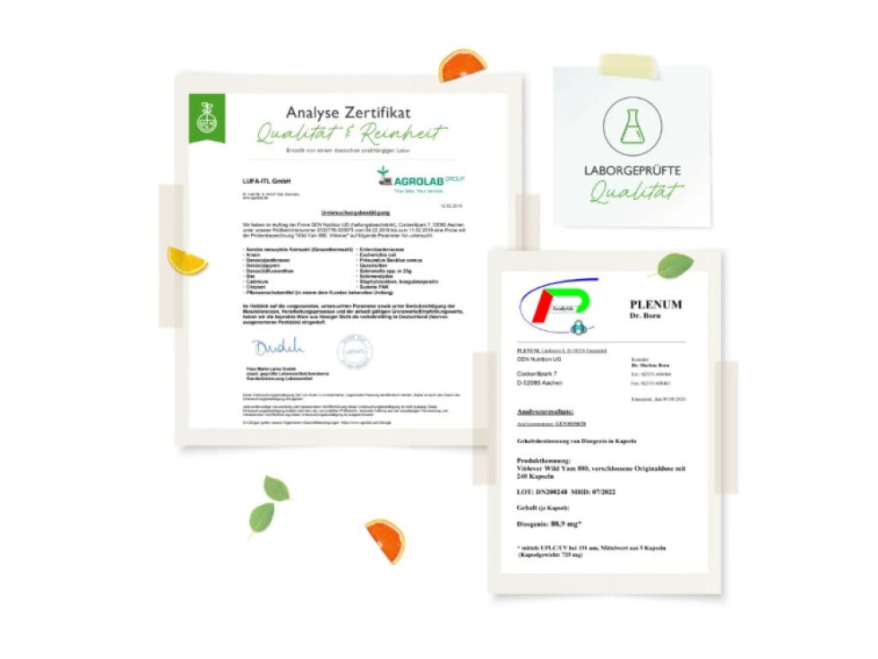 Vit4ever Wild Yam 440 mg, 20% Diosgenin, XL balení