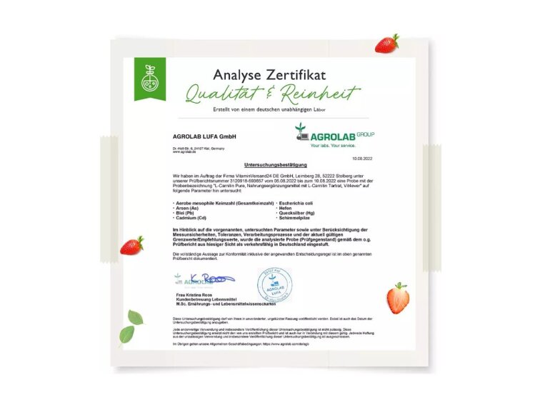 Vit4ever L-Karnitin Pure, 300 g