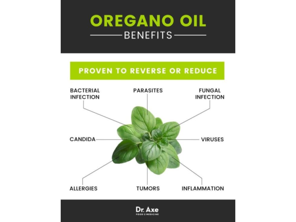 North American Herb & Spice Oreganol P73 - Super Strength, 120 kapslí