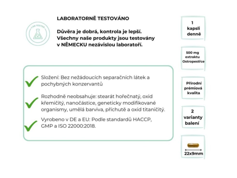 Vit4ever Pestrec mariánsky – extrakt 500 mg, 240 kapsúl