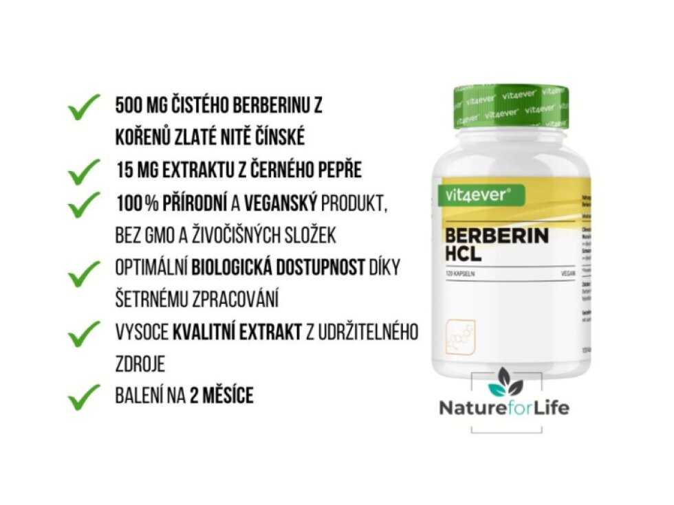 Vit4ever Berberin HCL Intenso, 120 kapslí