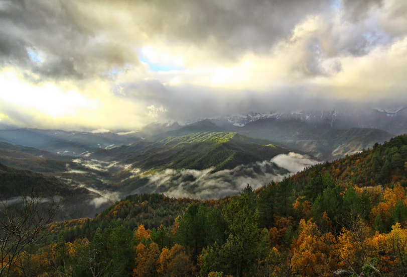 North American Herb & Spice Oreganol P73 - Super Strength, 120 kapslí