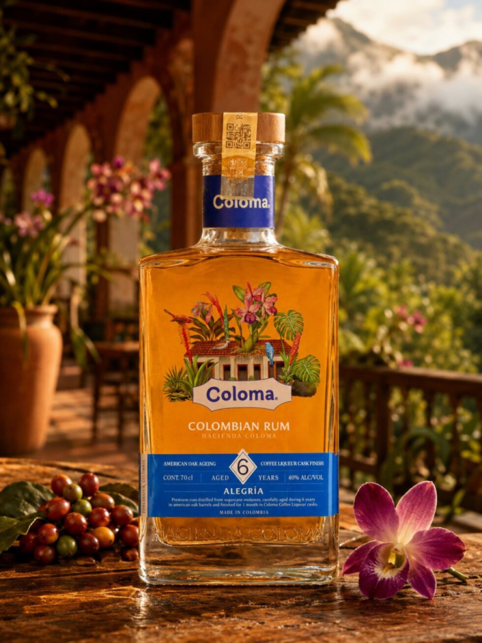 Coloma Alegria 6YO 40% 0,7l