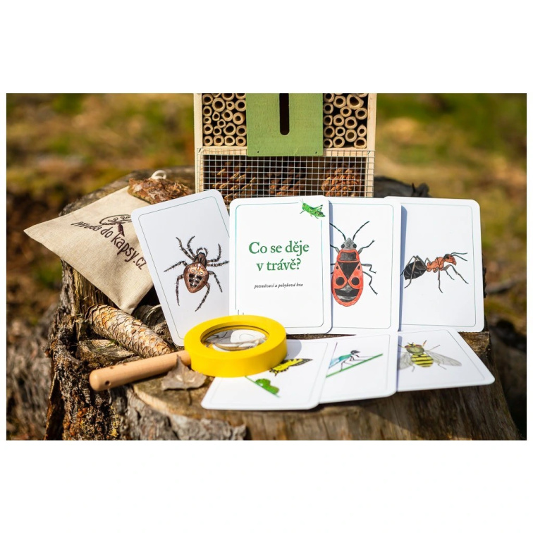 Jak zabavit děti venku i na dlouhém výletě? 10 tipů na hry, které promění procházku v dobrodružství