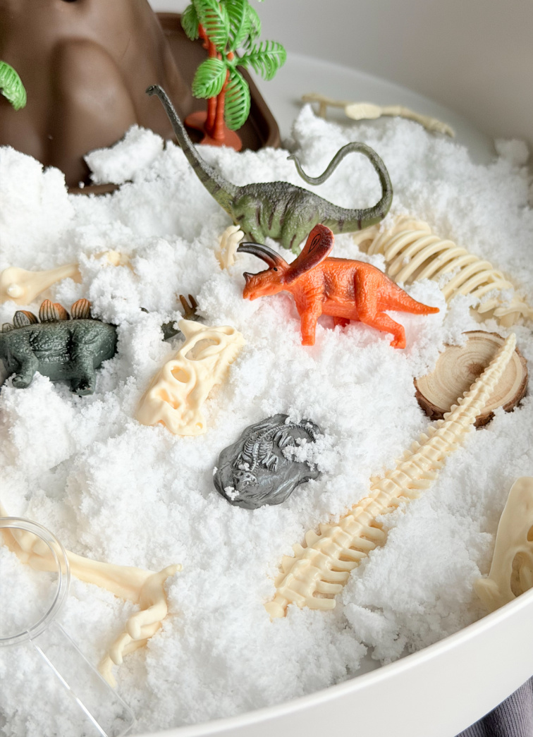 Smyslový set - Svět dinosaurů