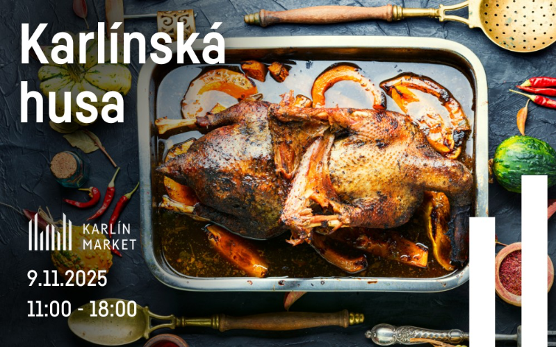 KARLÍN - Karlínská husa