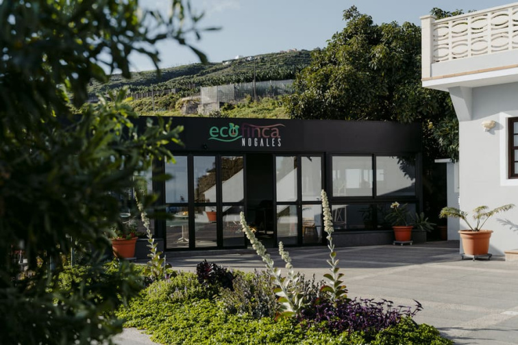 Ecofinca Nogales - Puntallana, La Palma | Ostrovchuti