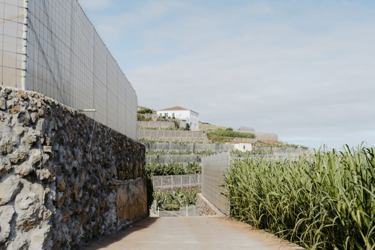 Ecofinca Nogales | Ostrovchuti