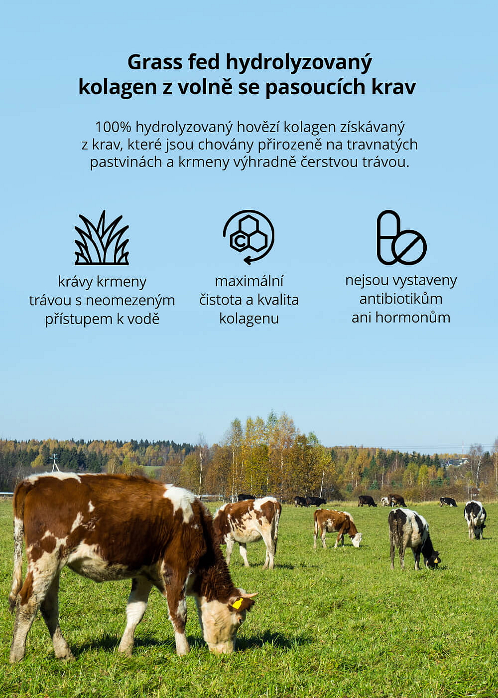 VENIRA hydrolyzovaný kolagen, grass fed