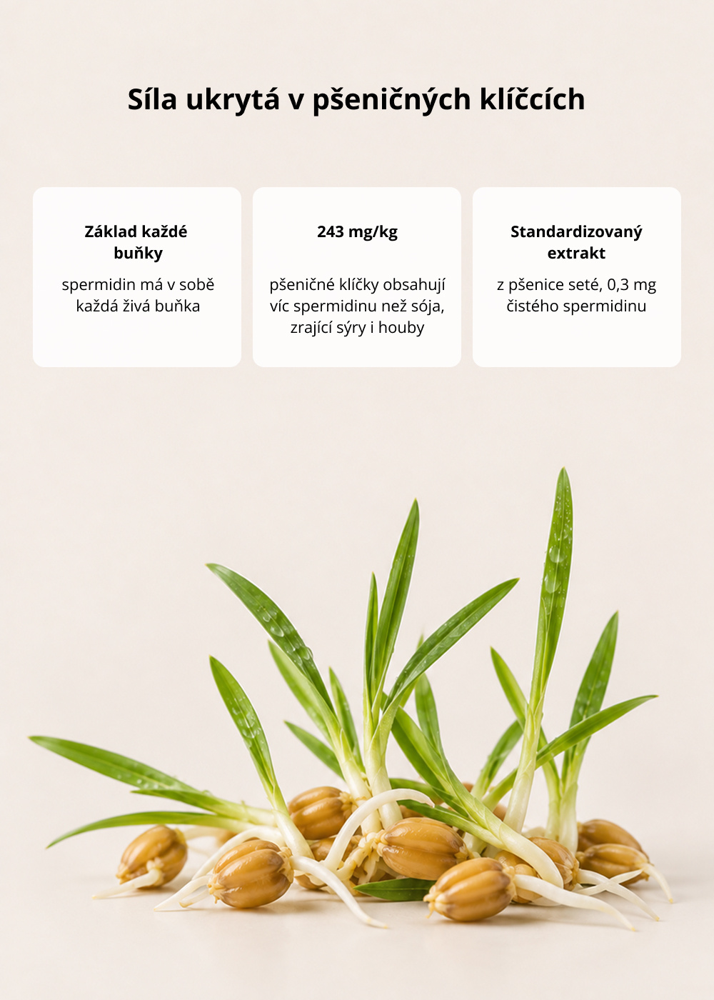 VENIRA forever young - anti-aging gummies