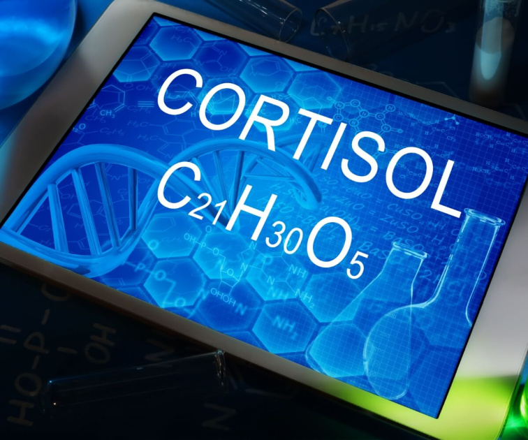 Proč mám chutě na sladké večer a podlehnu jim? Jak to funguje?