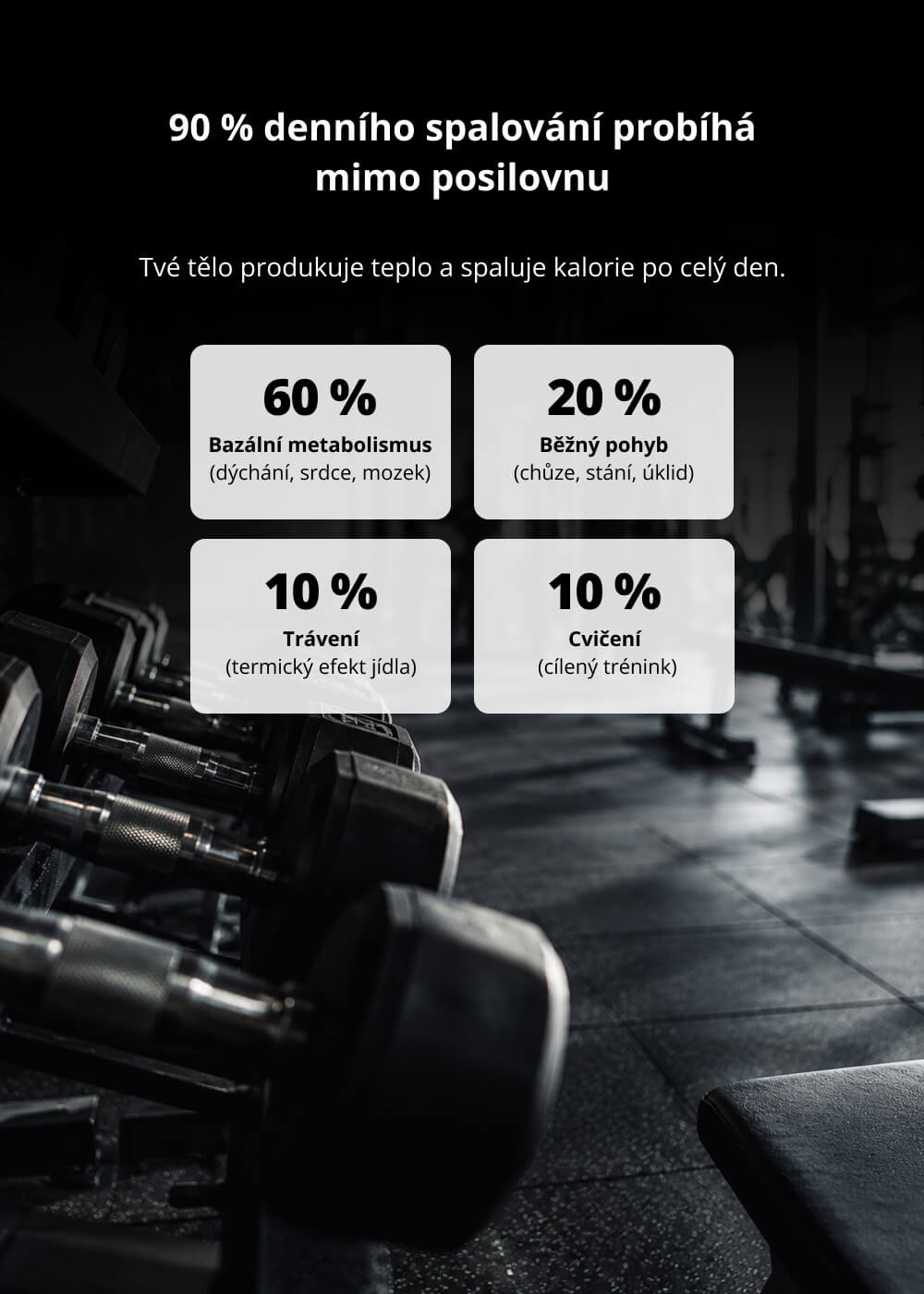 VENIRA fat burner complex for men