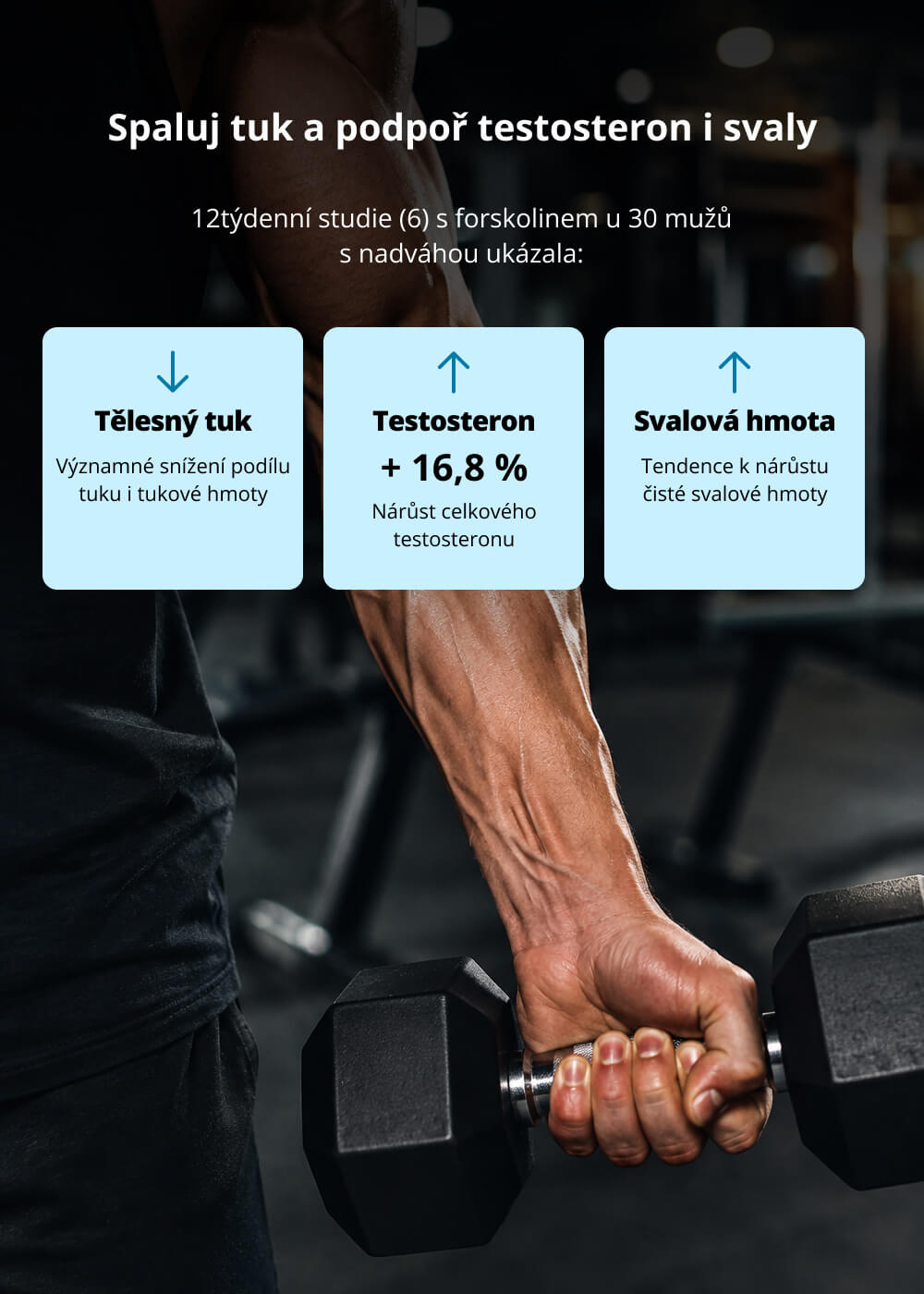 VENIRA fat burner complex for men