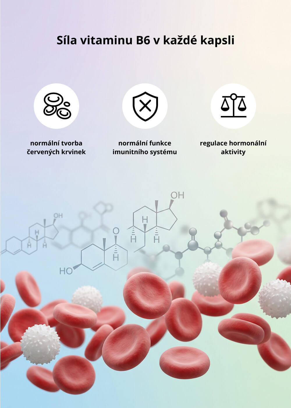 VENIRA magnesium bisglycinát s vitaminem B6 a vitaminem D