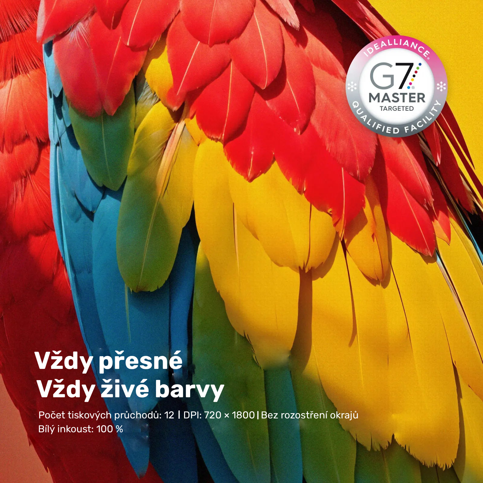 xTool Selected Apparel Printer - Barva do tiskárny Magenta