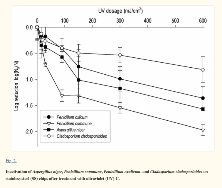 Jak bojovat proti plísním v domácnosti