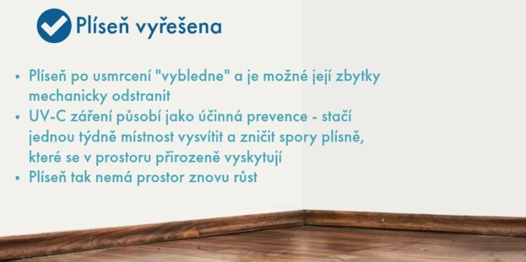 Jak předcházet plísni