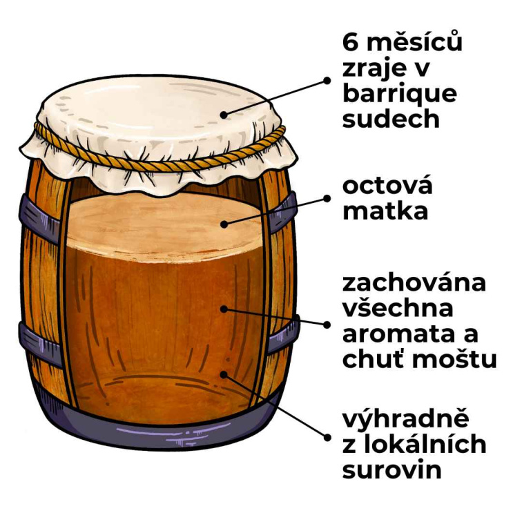Orleánský sladový ocet - Klasika