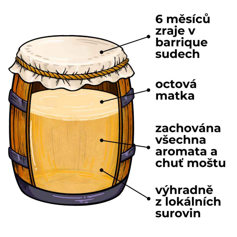 Orleánský jablečný ocet