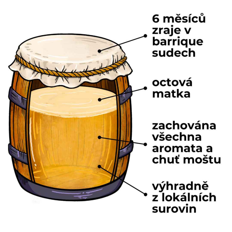 Orleánský vinný ocet - Rulandské bílé