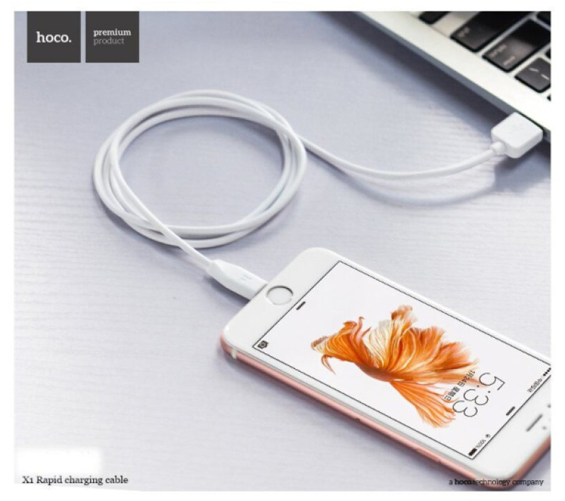Kabel USB-A/Lightning pro iPhone a iPad - Hoco, X1 White 100cm