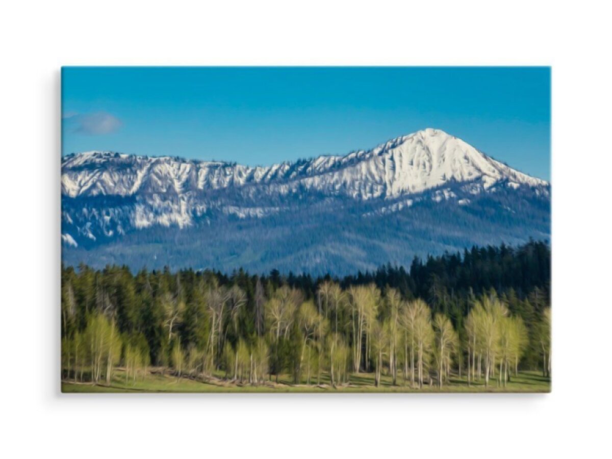 Plátno Národní Park Grand Teton V Usa