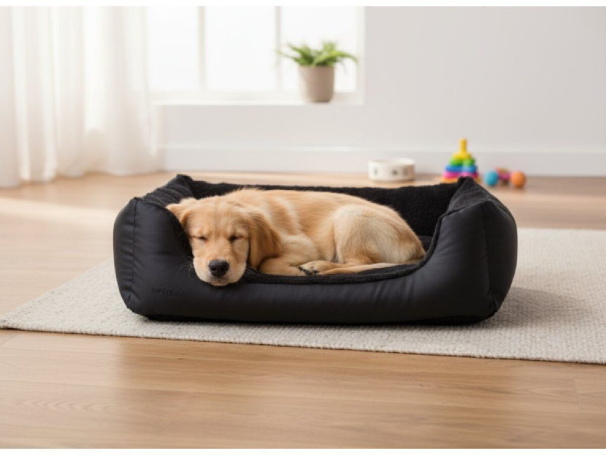 Pelíšek pro psa ARTHUR SOFA černá velikost XS, S, M, L, XL, XXL