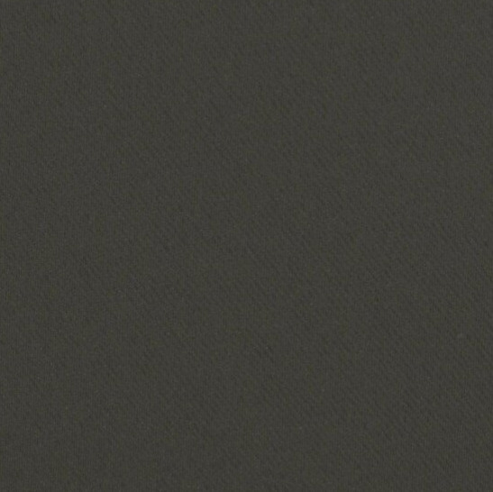 Zatemňovací závěs s kroužky "BLACKOUT" SIERRA 135x250 cm grafitová (cena za 1 kus) MyBestHome