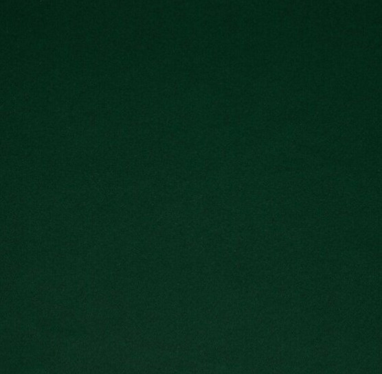 Zatemňovací závěs s kroužky "BLACKOUT" SIERRA 135x250 cm zelená (cena za 1 kus) Mybesthome