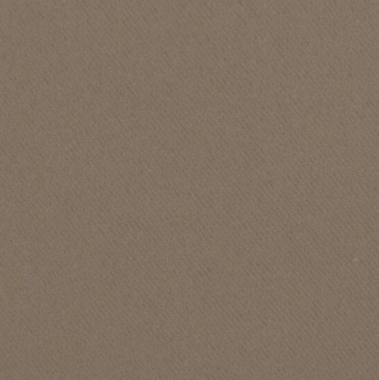 Zatemňovací závěs s řasící páskou "BLACKOUT" VIGO 135x250 cm, cappuccino, (cena za 1 kus) MyBestHome