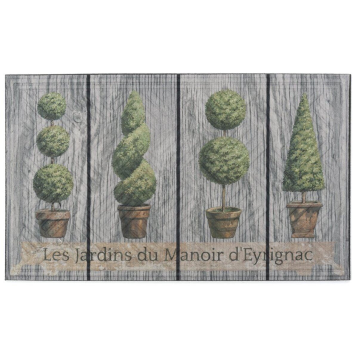 Rohožka - předložka LIMA - TOPIARY 45x75 cm