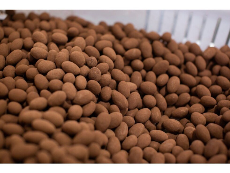 Mandle v čokoládě s kakaem 5 kg LES FRUITS DU PARADIS
