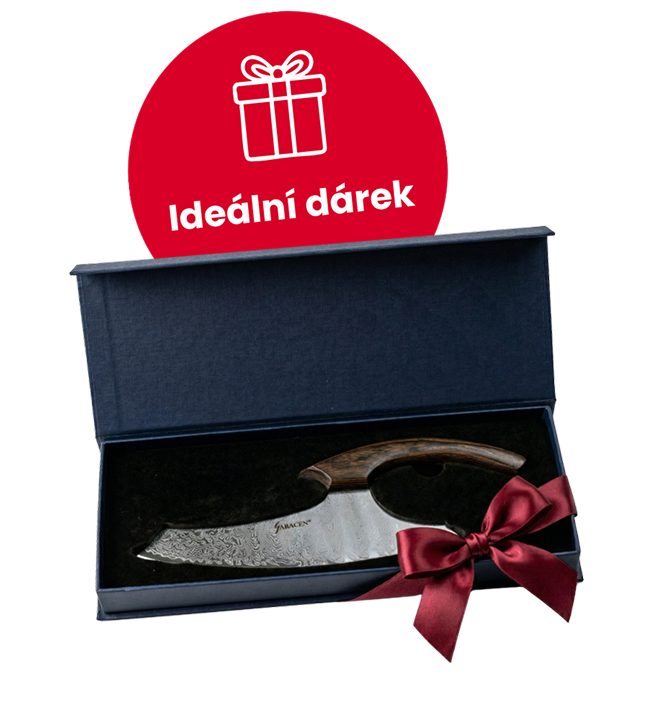 Nůž Saracen PRO