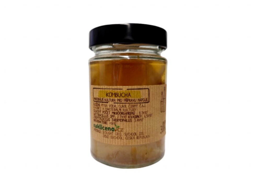 Česká kombucha houba SCOBY a velká násada 6 cm včetně 300 ml nálevu