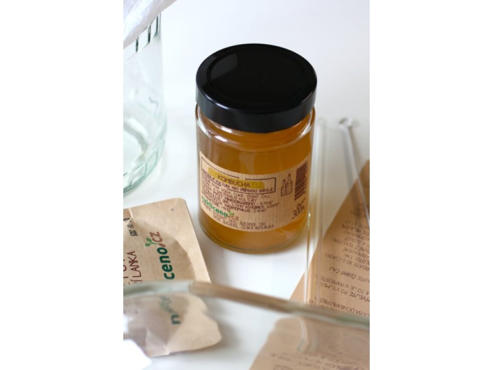 Česká kombucha houba SCOBY a velká násada 6 cm včetně 300 ml nálevu