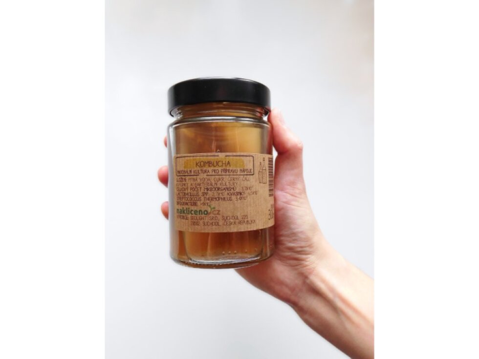 Česká kombucha houba SCOBY a velká násada 6 cm včetně 300 ml nálevu