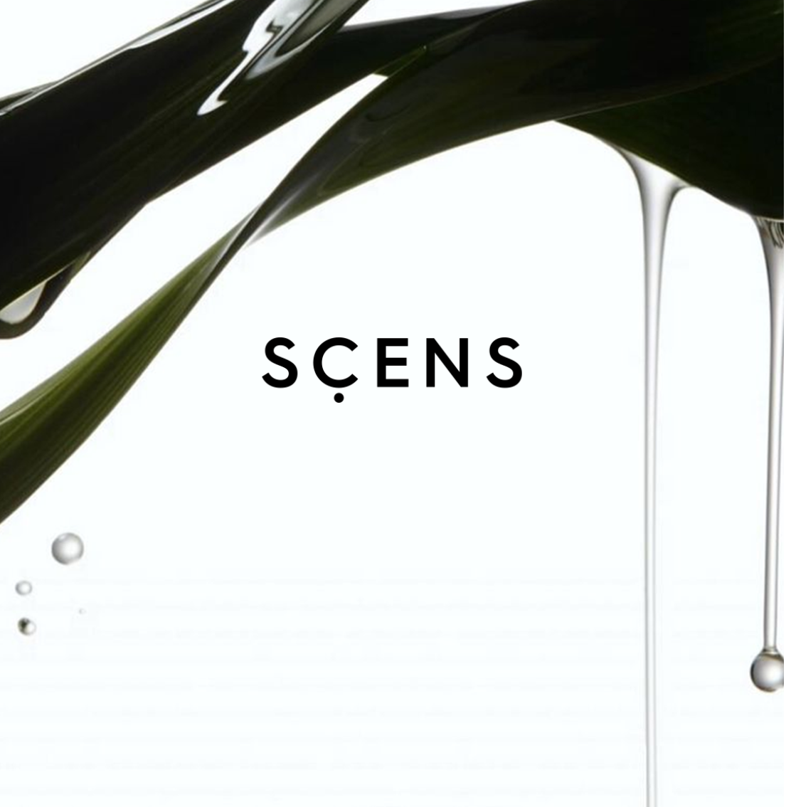 SCENS Academy