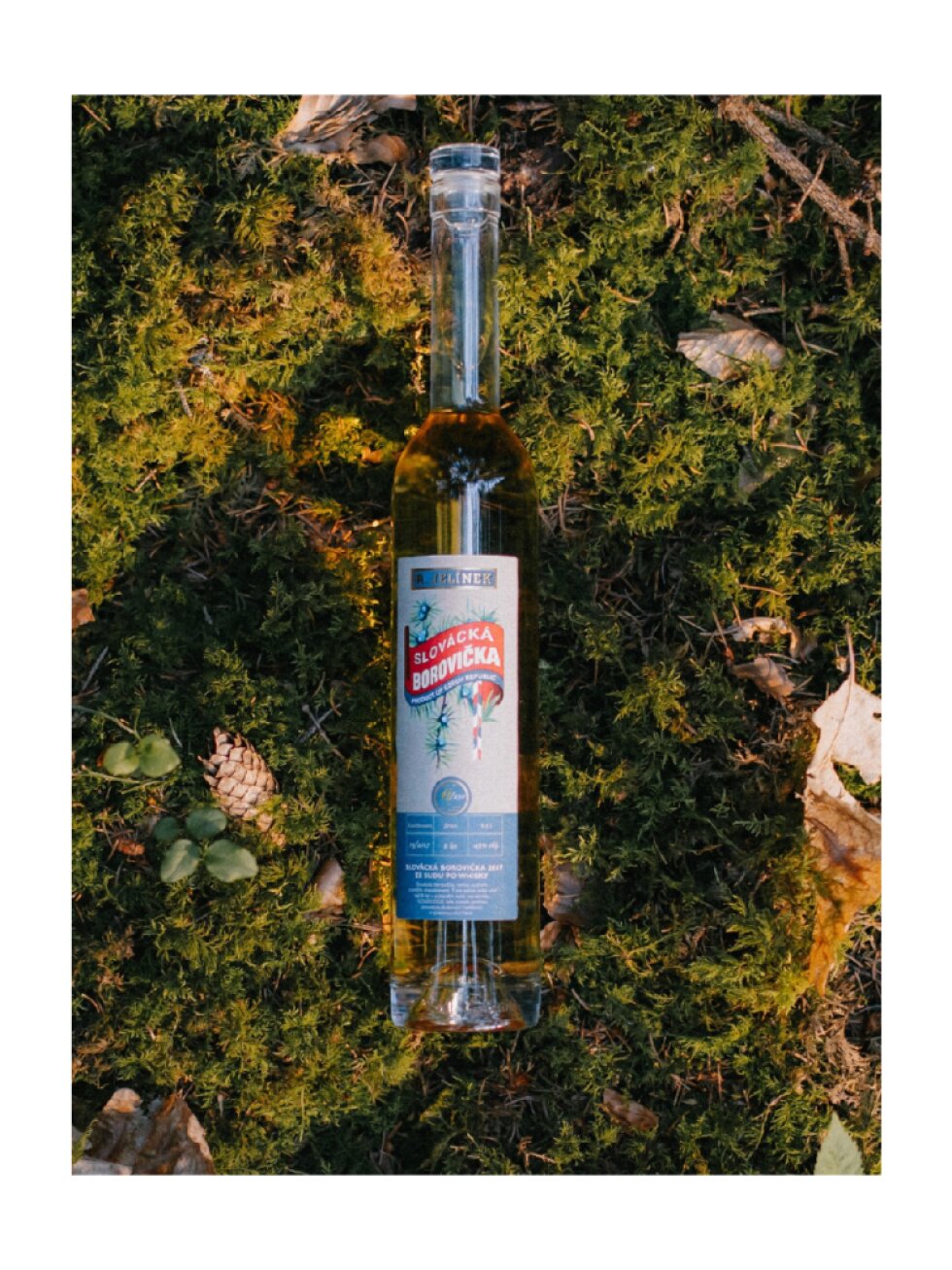 Slovácká borovička 2017 ze sudu po whisky GOLDCOCK 45% 0,5l