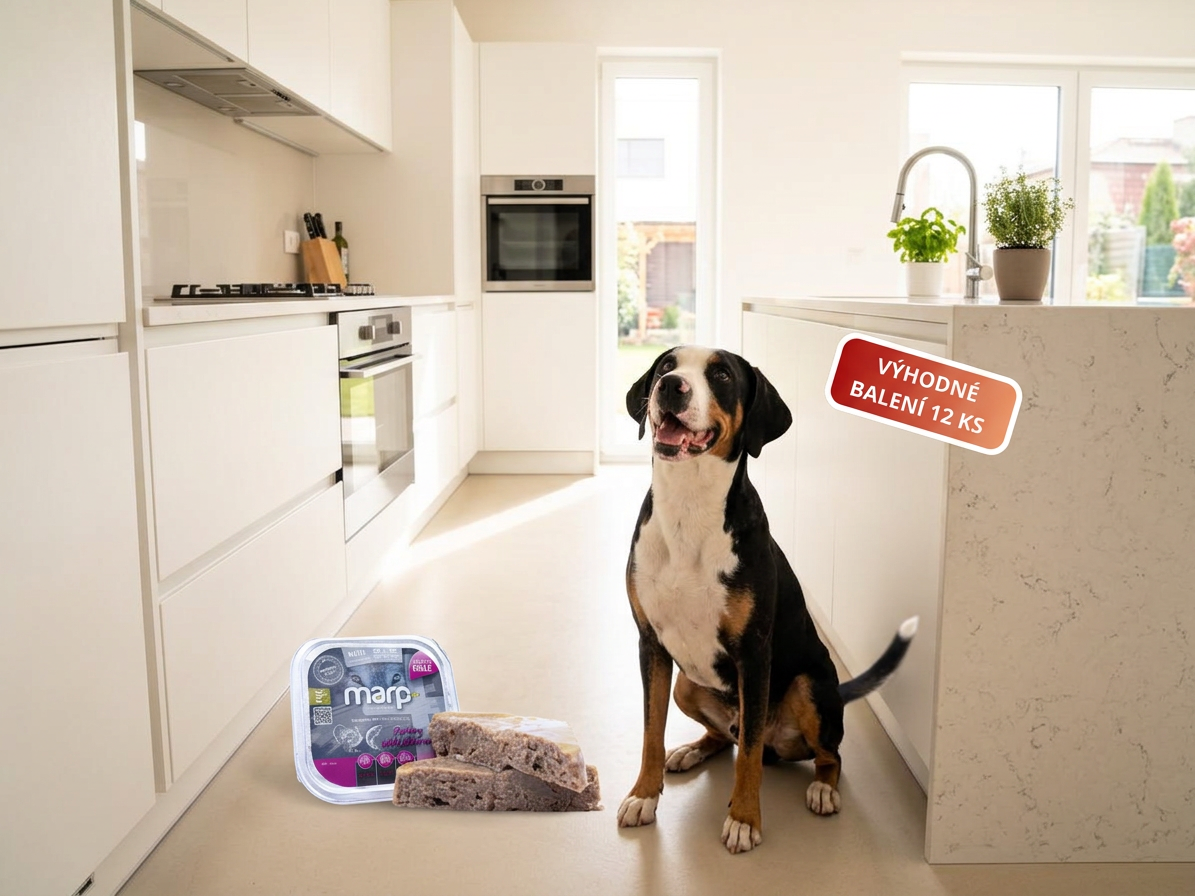 Marp Natural Plus vanička pro psy krůtí s lososem 12x150g
