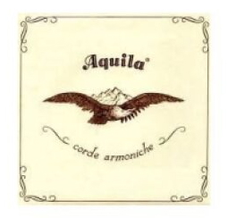 Aquila, Struna Nylgut (D) - opředená (140 cm)