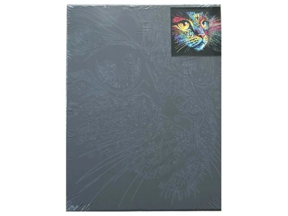 Malování na černé plátno 30 x 40 cm, kočka