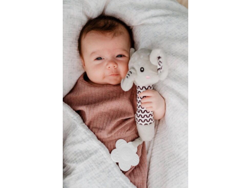 Slon babyted pískátko/kousátko plyš 0m+