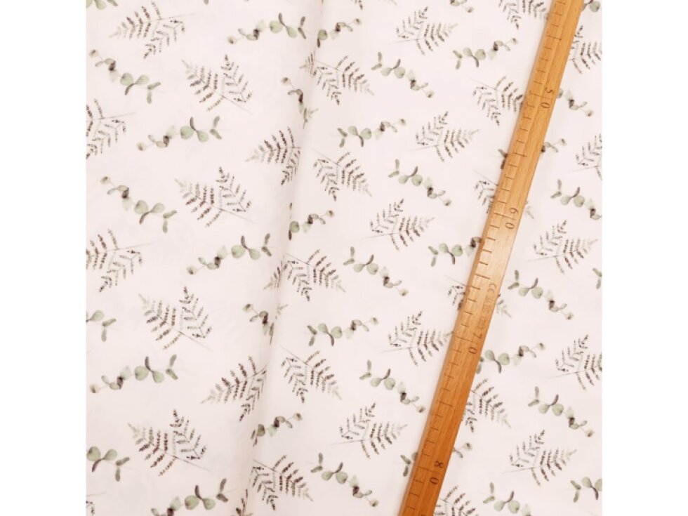 Úplet - Eukalyptus a kapradí